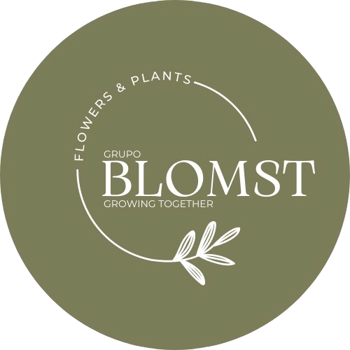 Grupo Blomst