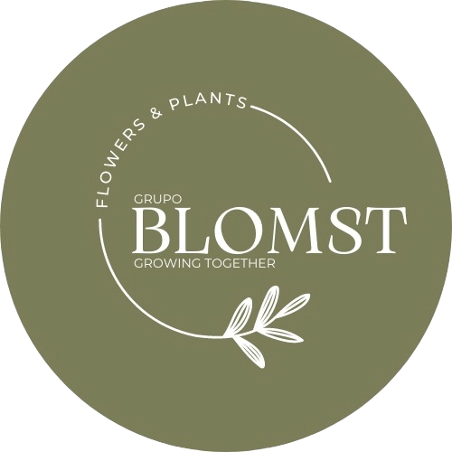 Grupo Blomst