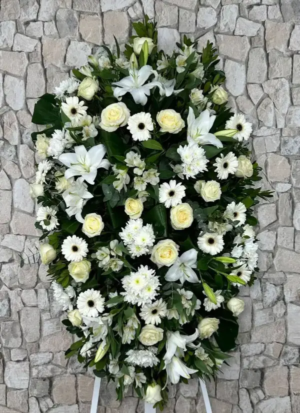 Palma de flores Coral