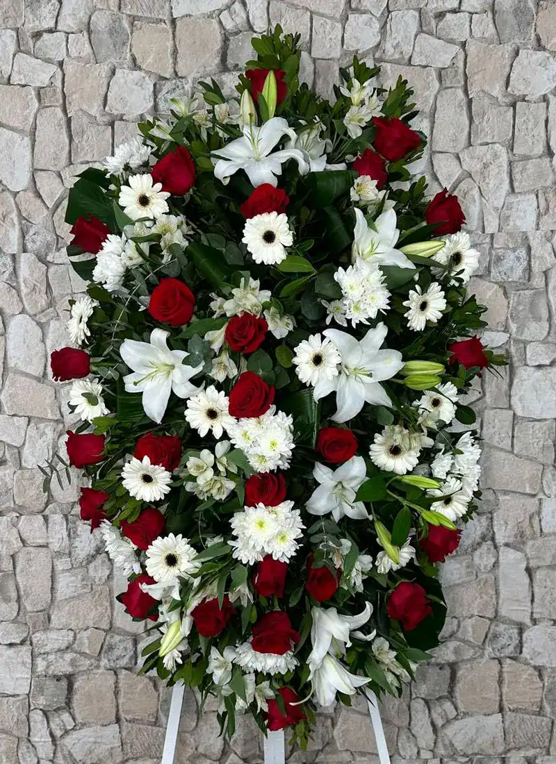 Palma de flores Ébano